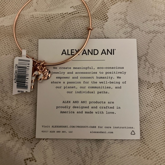 Alex and ani bangle candy cane bracelet - Picture 3 of 8